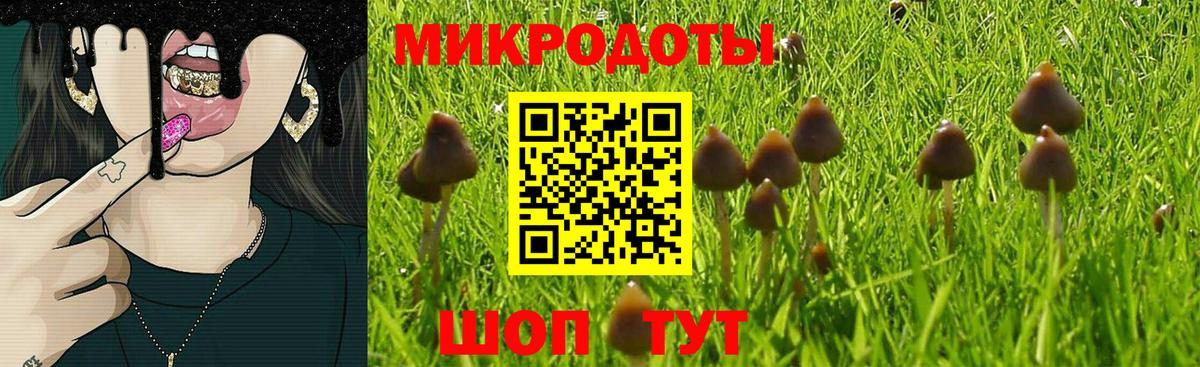 Псилоцибиновые грибы Psilocybe  Вход с VPN  Нефтекамск 